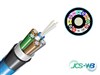 Loose Tube 12C OM1 Drycore Nylon BU